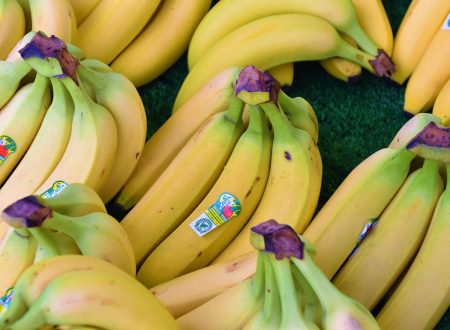 Bad Bananas NFTs charity