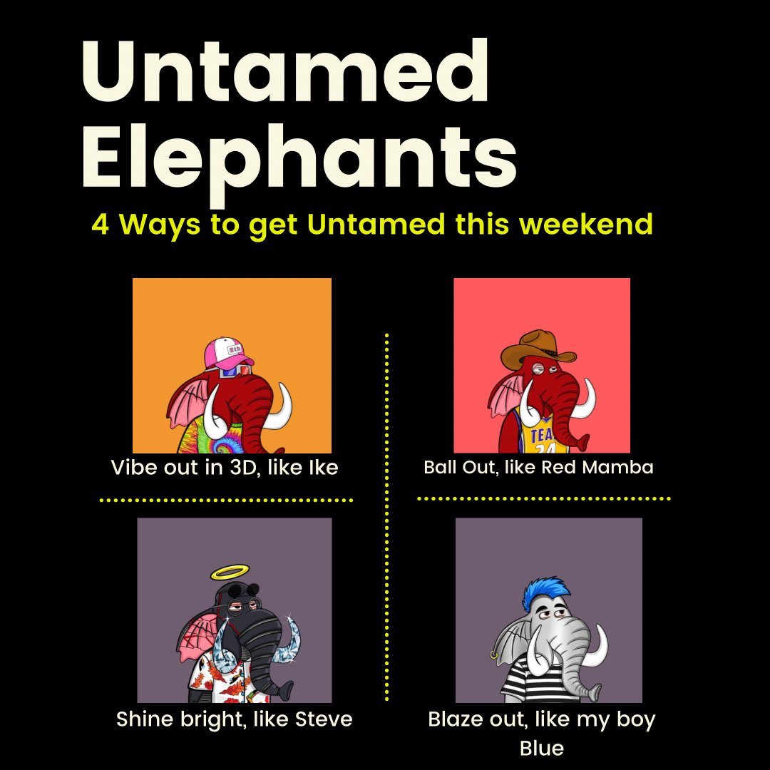 Untamed Elephant Crew
