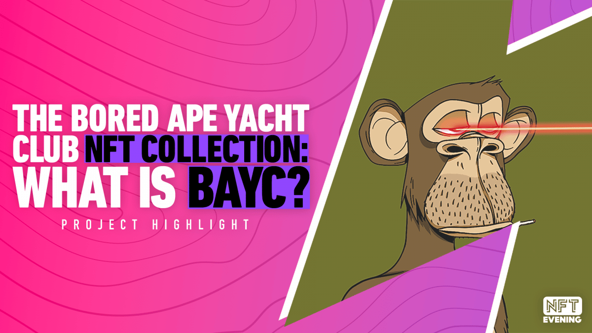 Crypto Fans Are Mad the Men Behind Bored Ape Yacht Club Have Been Revealed