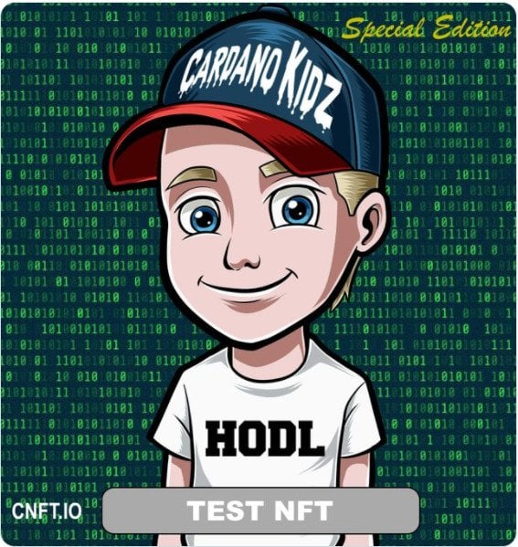 Cardano Kidz Cardanokidz NFT test 