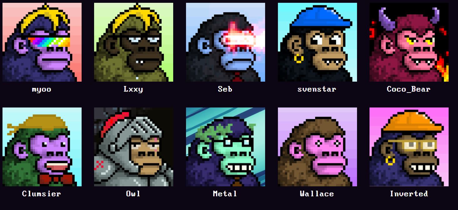 Screenshot of the Council of Kongs from the CyberKongz NFT collection