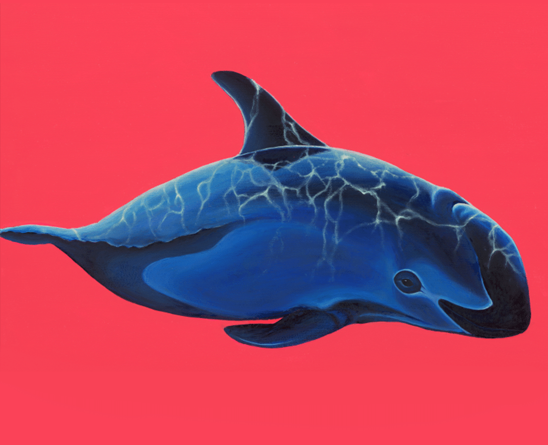 Lea Fricke's Vaquita NFT