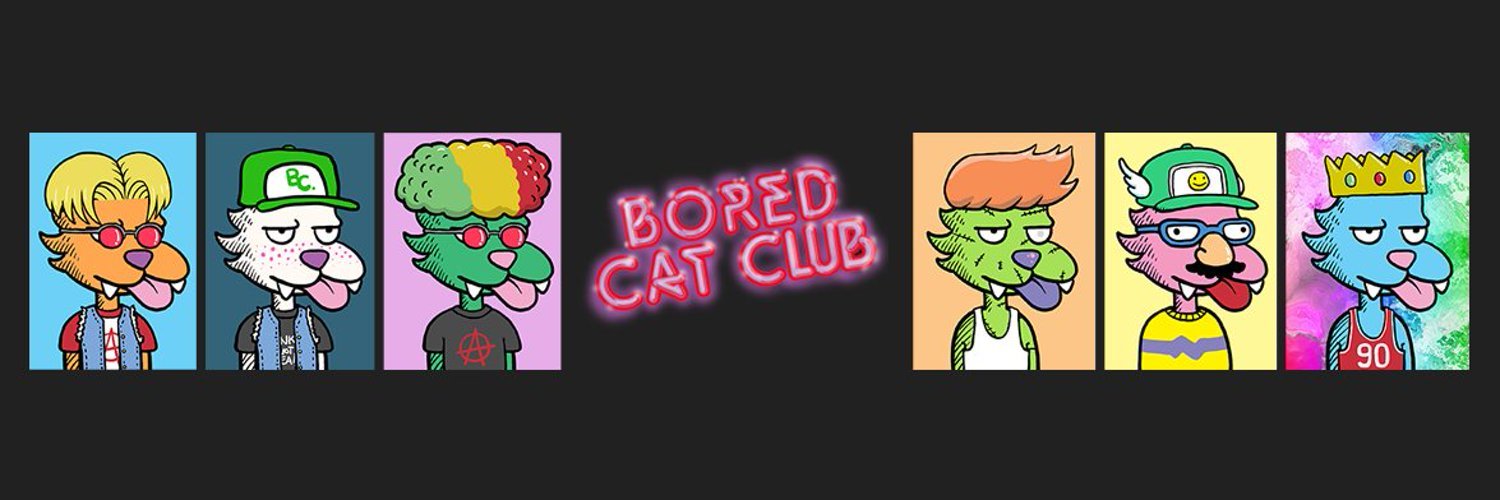 Bored Cat Club NFTs Has Official Rugpulled
