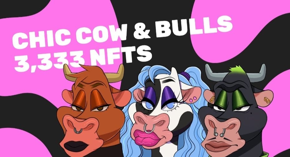 Image featuring three Chic Cow & Bulls NFT collectibles