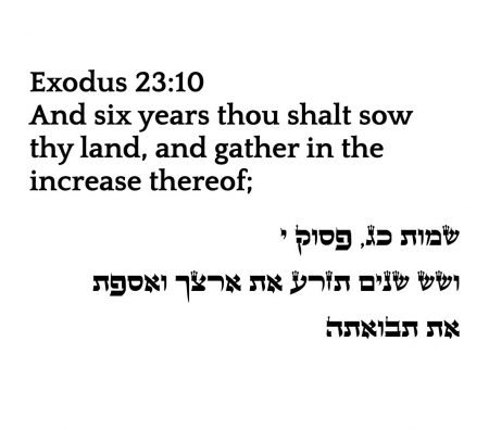 Exodus 23:10 CryptoVerses Bible NFT