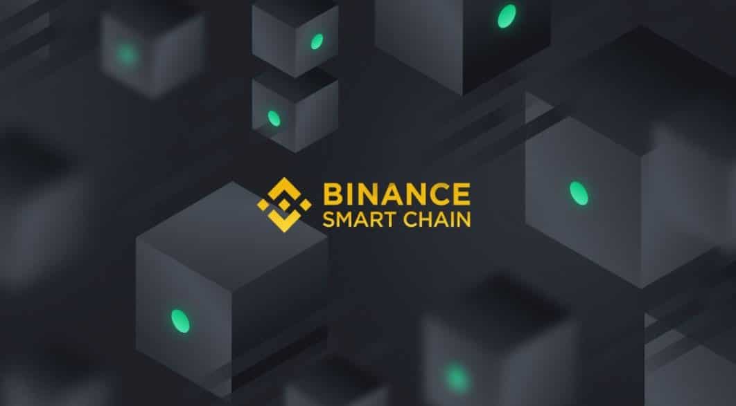 official logo of the Binance Smart Chain