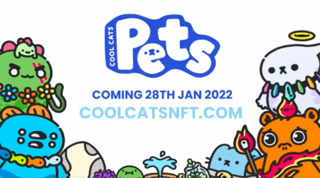 Cool Pets, Companion NFTs of Cool Cats