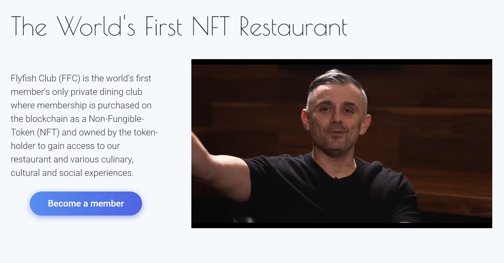 Screengrab from Flyfish Club NFT website featuring co-founder Gary Vee