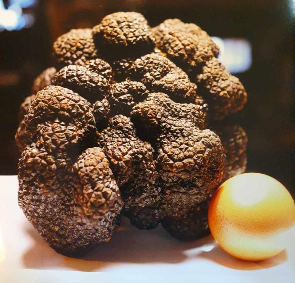 Image of a huge black truffle being sold as an NFT