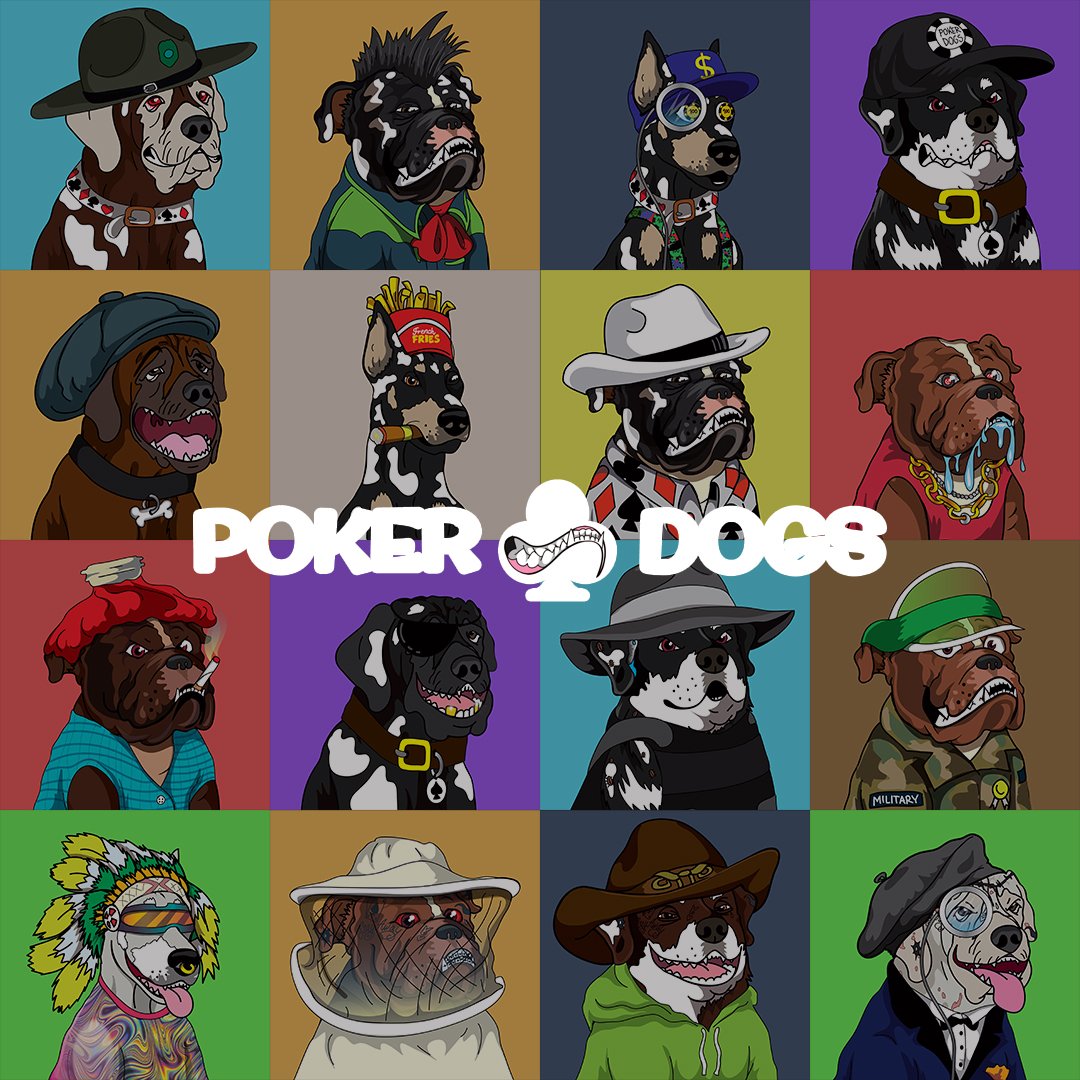 Several Poker Dogs Club NFTs 