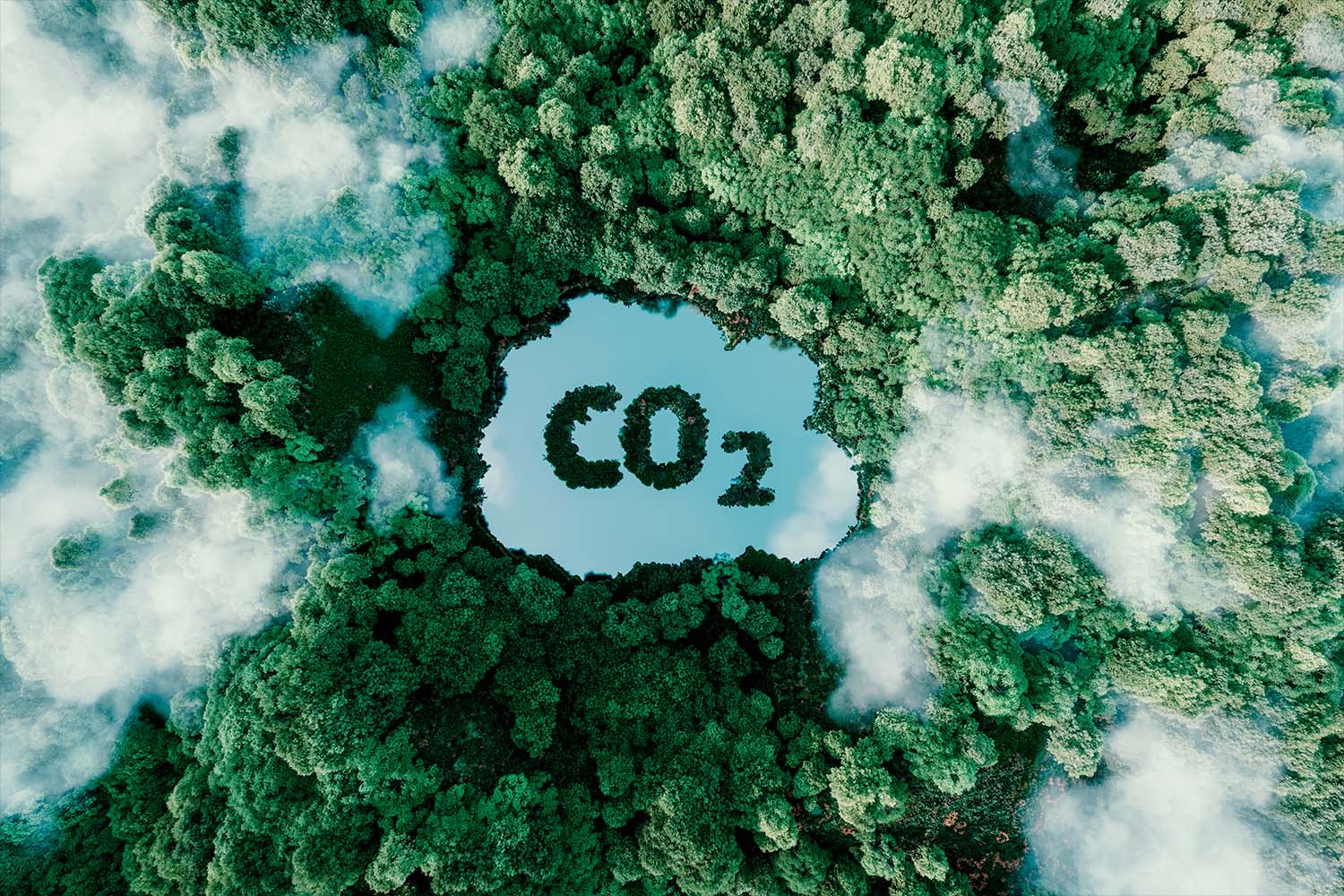 nft carbon dioxide