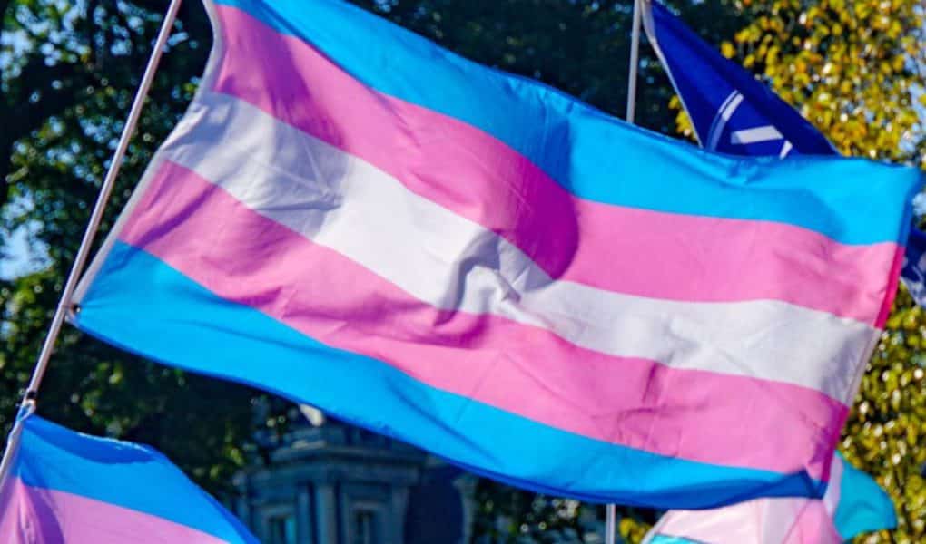 A transgender flag waving in the air