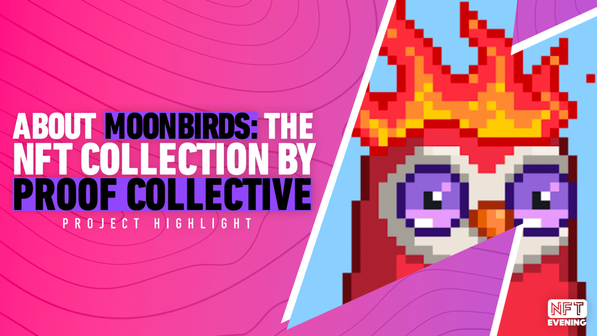 What are Moonbirds? Behind Proof Collective's NFT Owls