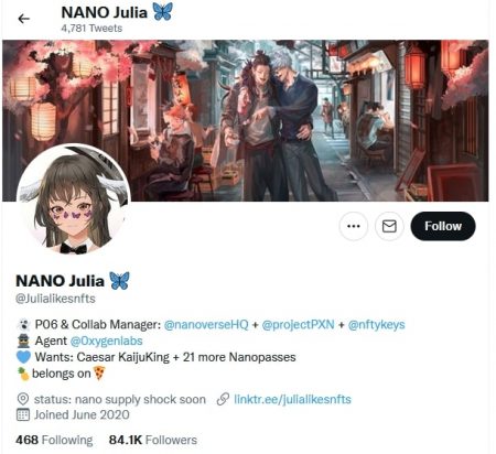 NANO Julia Twitter profile