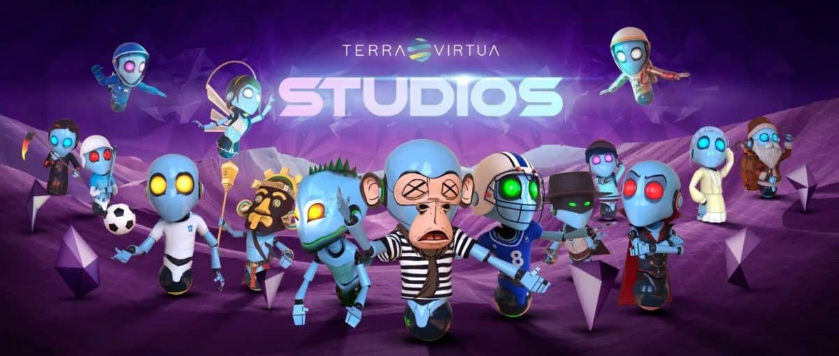 Terra Virtua studios banner