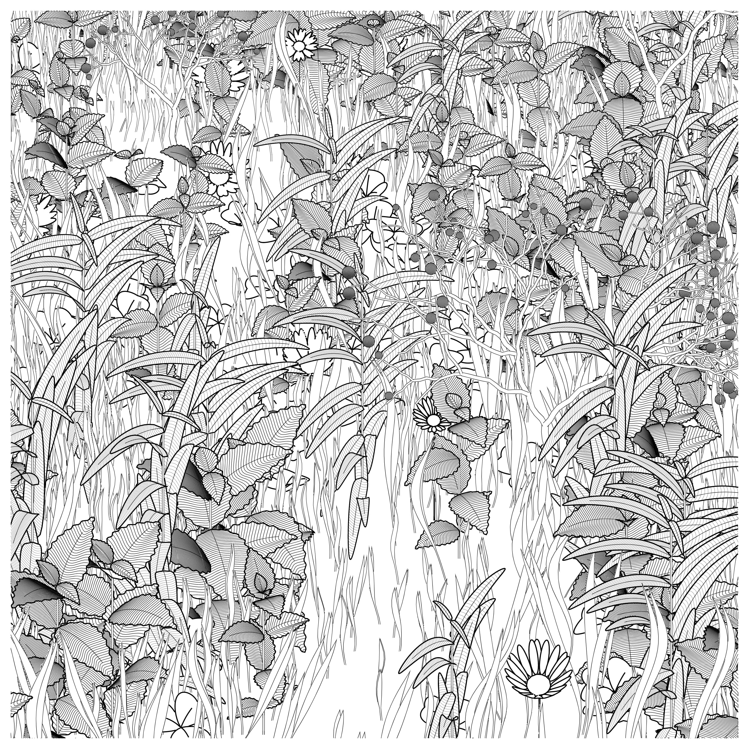 Artist Zancan's NFT featuring various plants in black and white