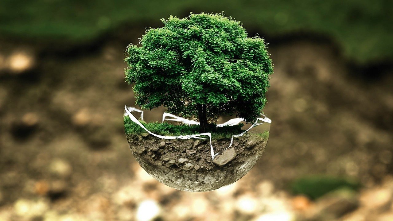 A representation of environmental protection and a tree