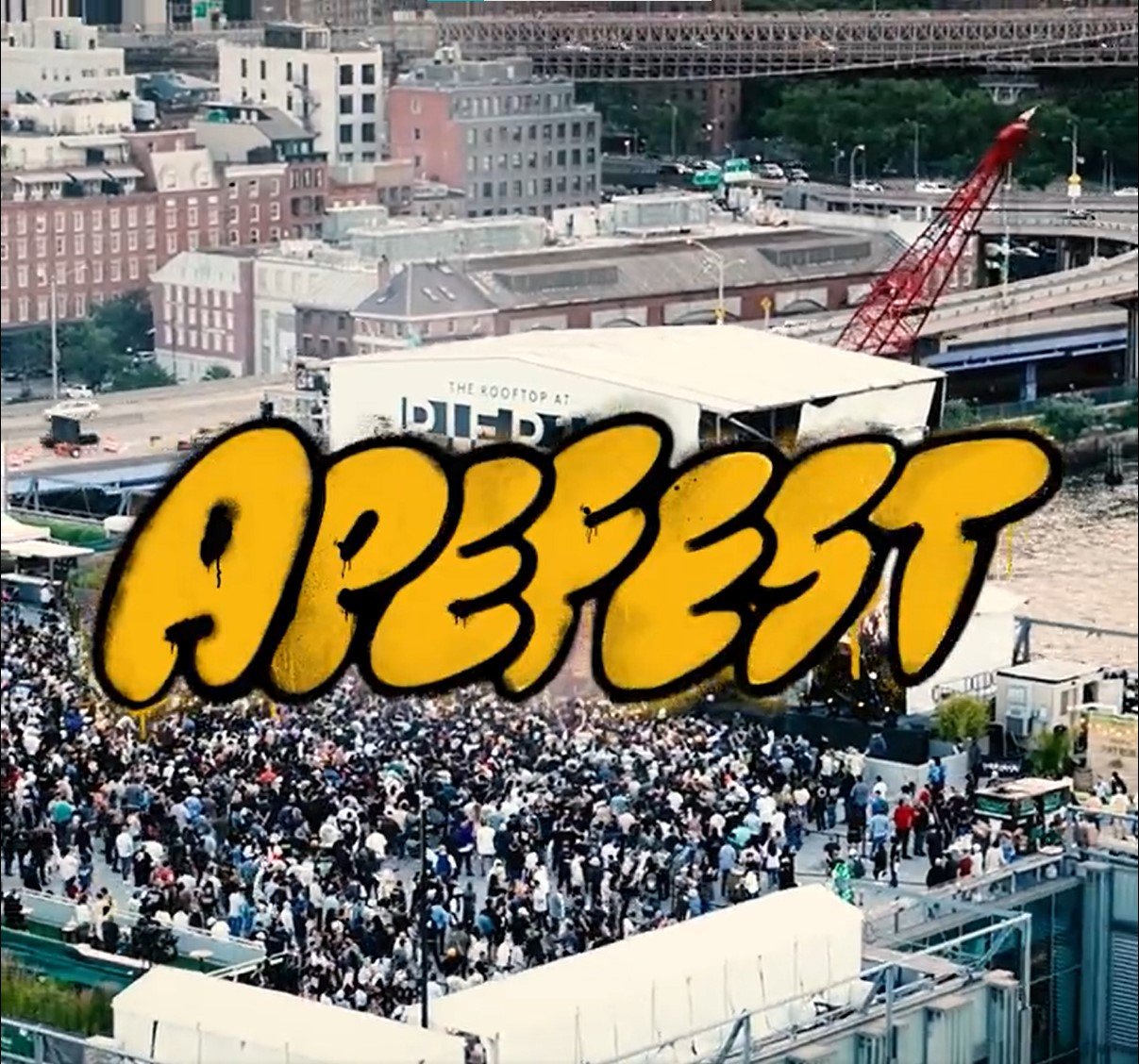 Crowd at ApeFest at NFT.NYC