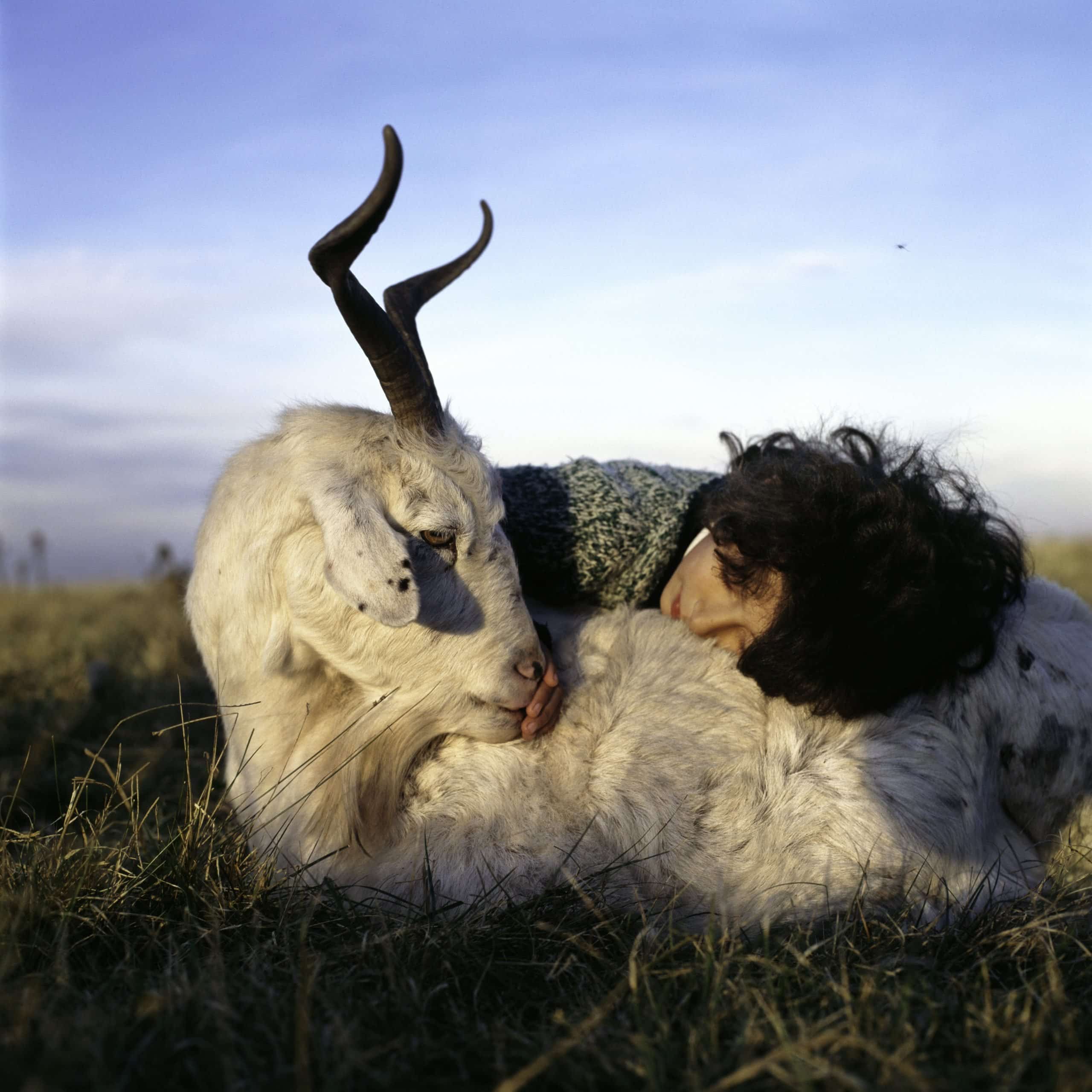 image of a girl taking care of a goat on a field by Alessandra Sanguinetti