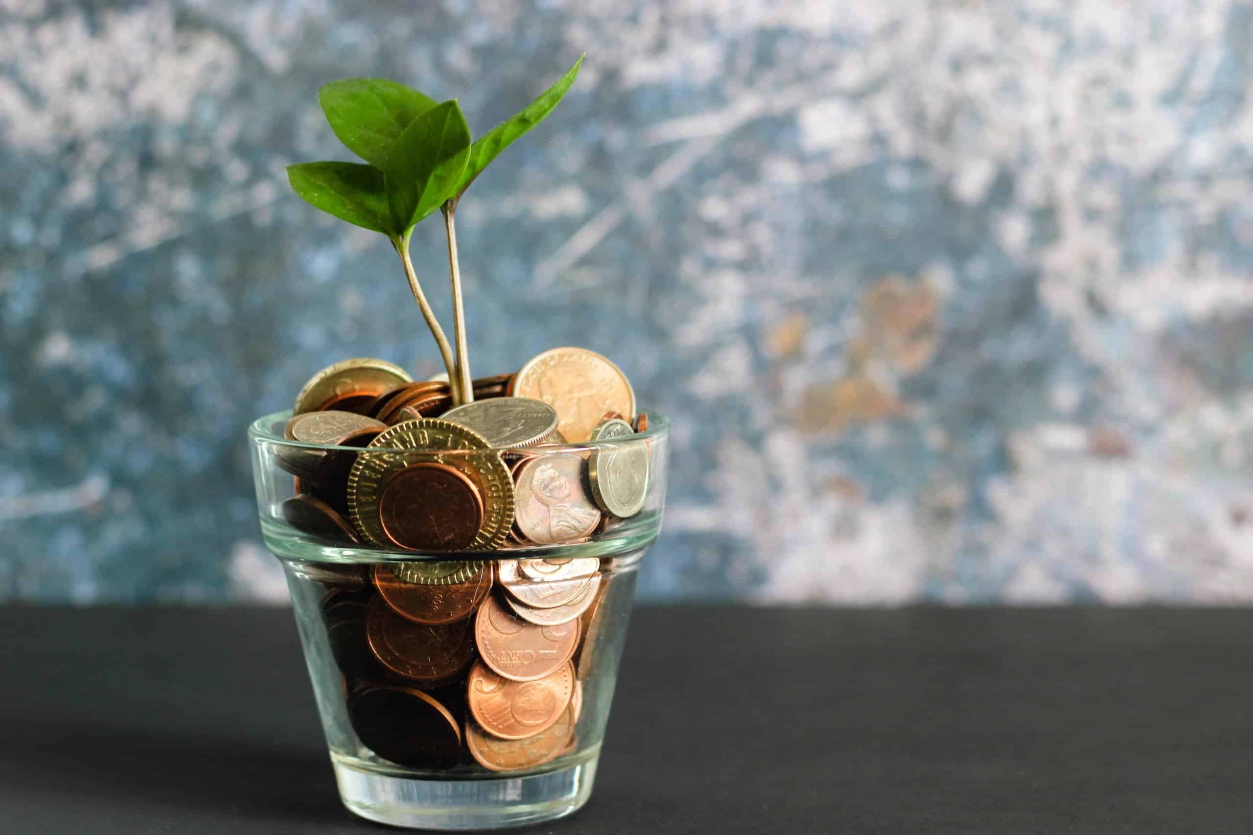 A glass with coins and a plant growing to represent polygon founder's web3 fund