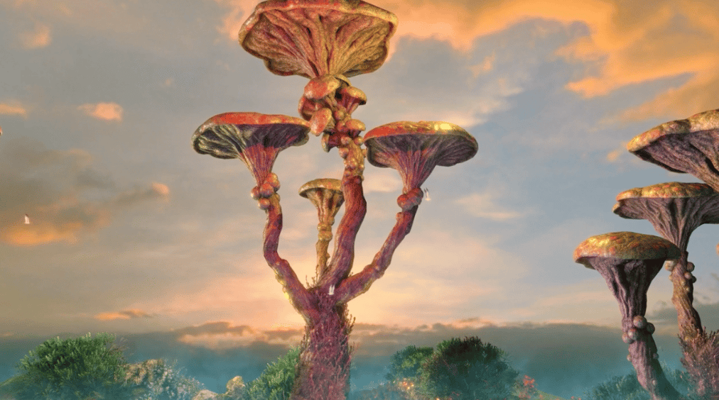 image of huge mushrooms growing.