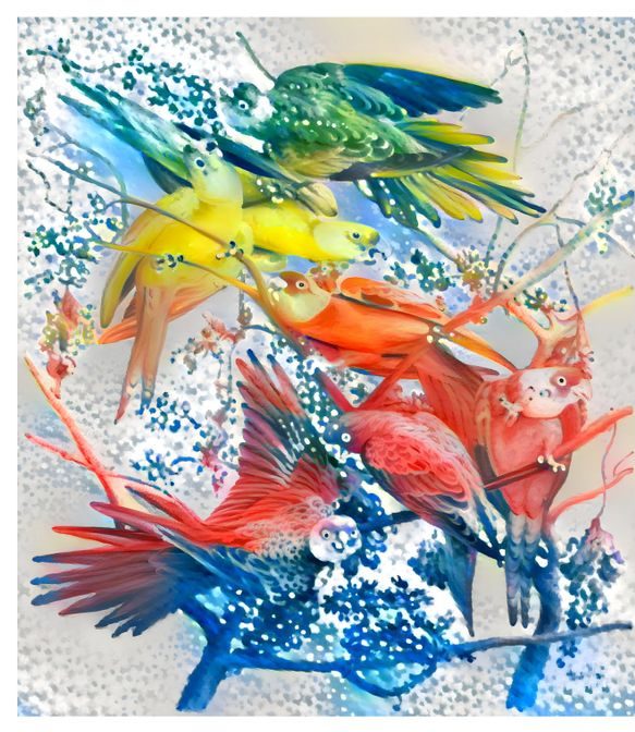 colourful images showing birds 