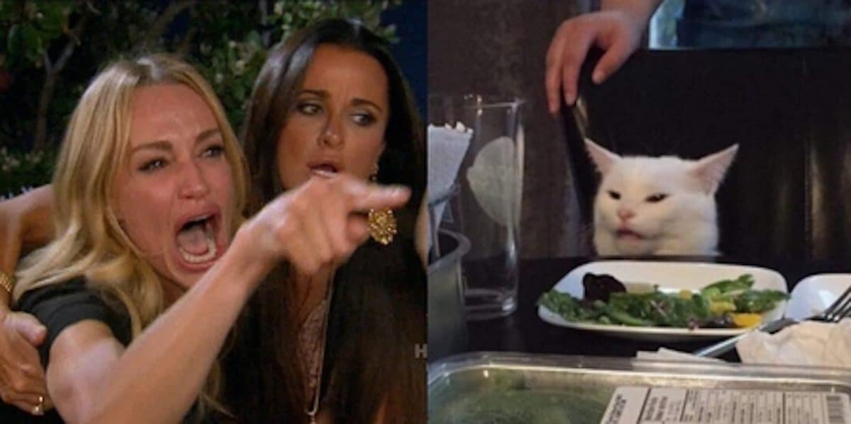 woman yelling at a cat meme NFT