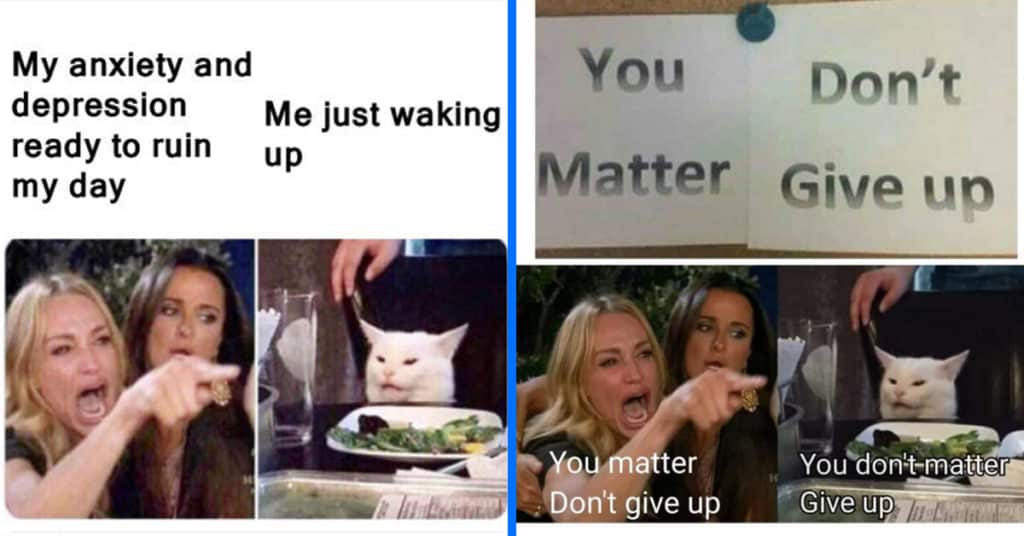 a couple examples of the woman yelling at cat meme template.