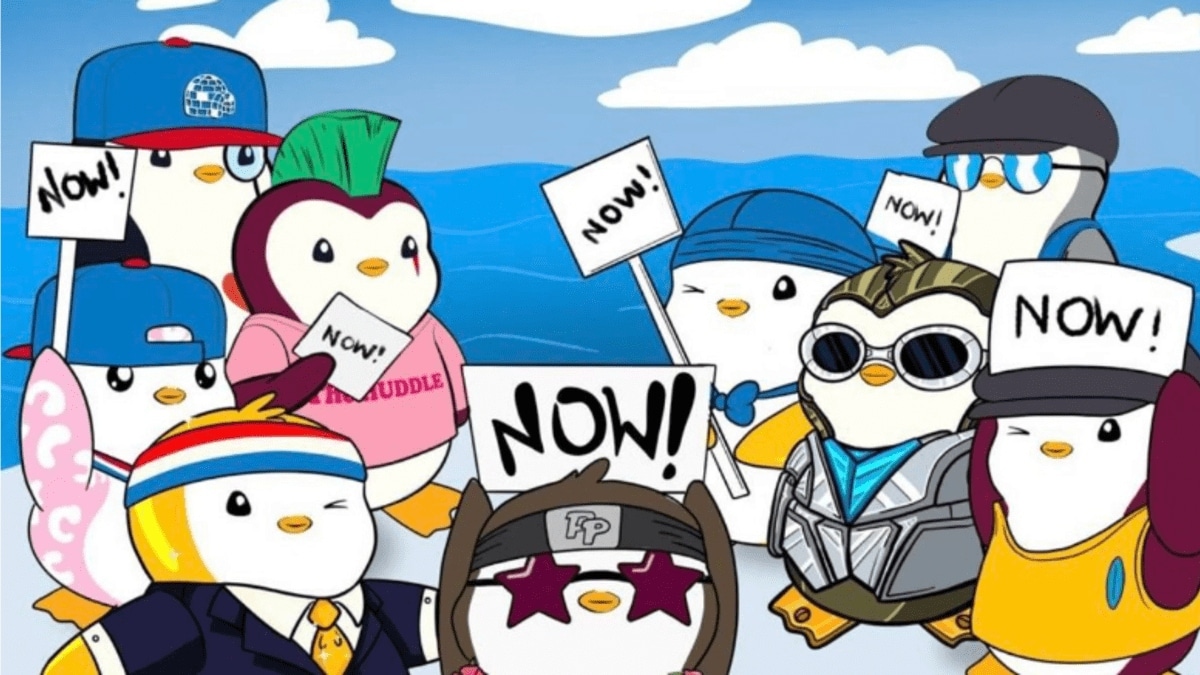 Pingüinos regordetes NFT