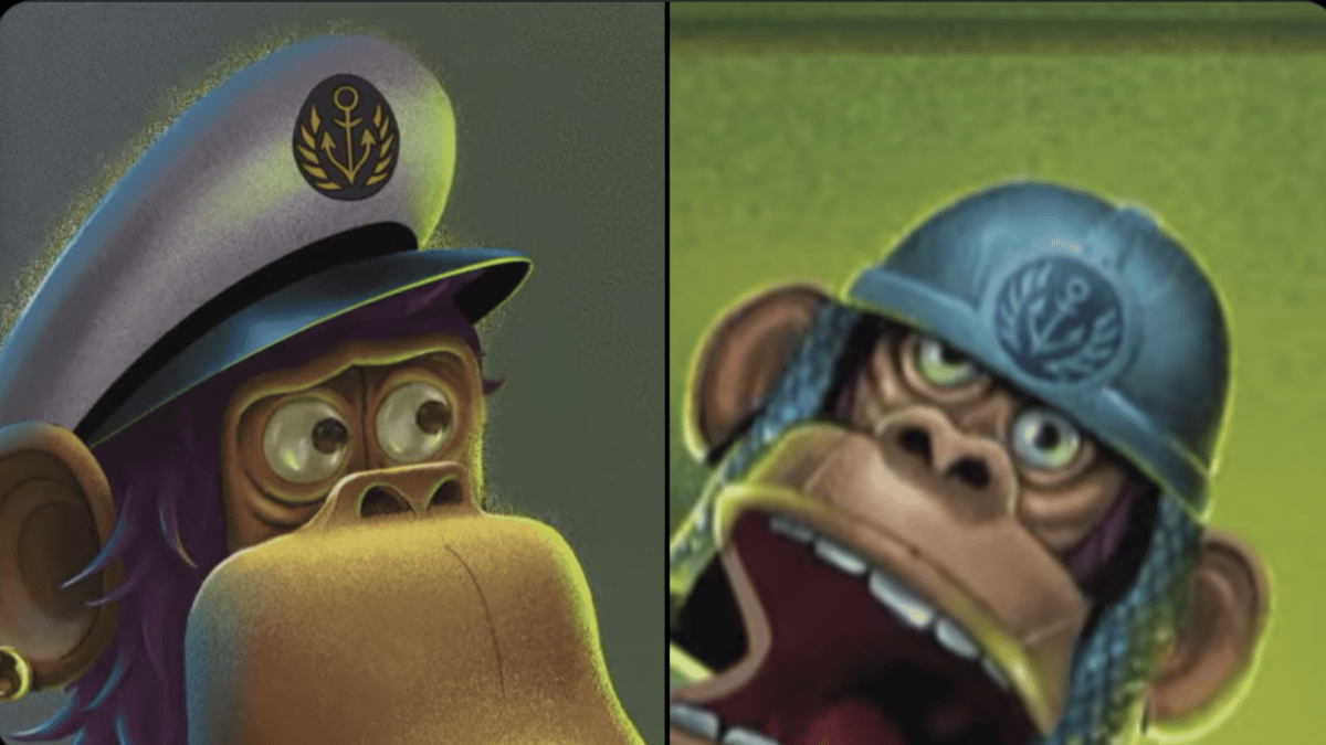image of two monkeys with different hats with the same symbol