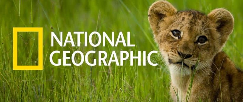 National Geographic NFT collection titled "Pictures of the Year."