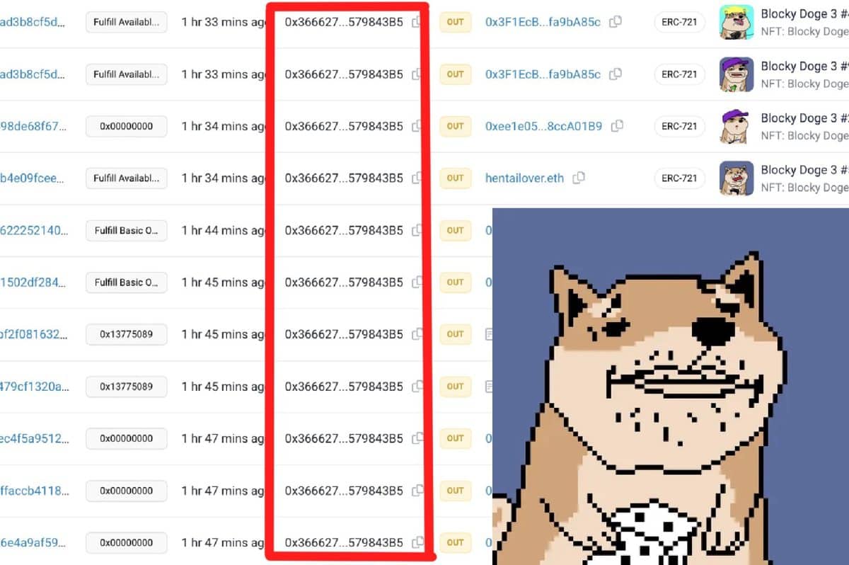Is Blocky Doge the Latest NFT Rug Pull?