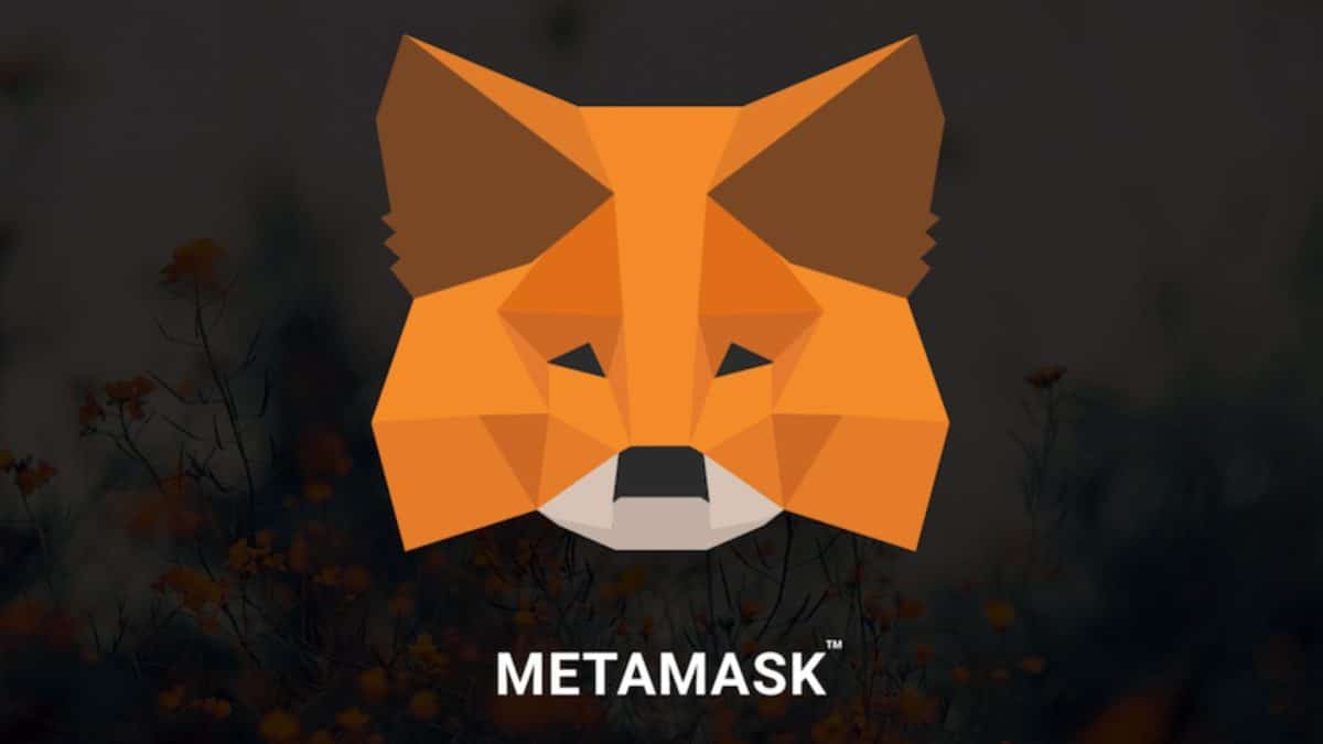 MetaMask Empowers Users with NFT Features in Latest Update