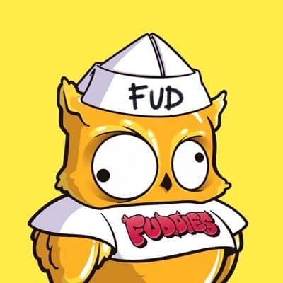 Fuddies are one of the first big NFT projects on Sui