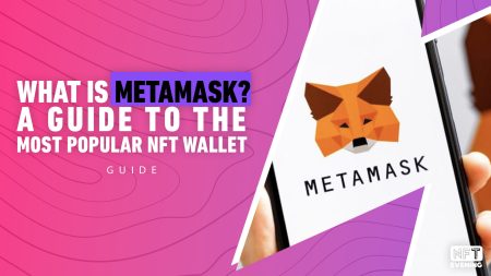 cover image for Metamask NFT wallet Guide 2024