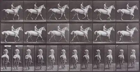 Eadweard Muybridge's Iconic Works Inspire Deafbeef's Ethereum NFT Project for LACMA