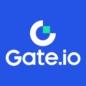 Gate.io Evaluation 2024: Options, Charges, and Buyer Security