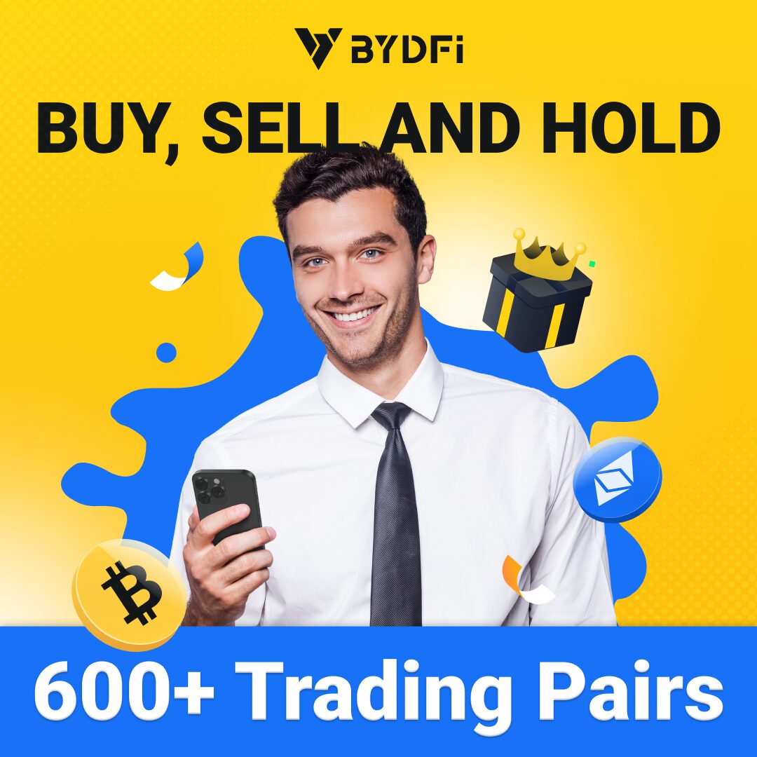 BYD Fi transaction fees