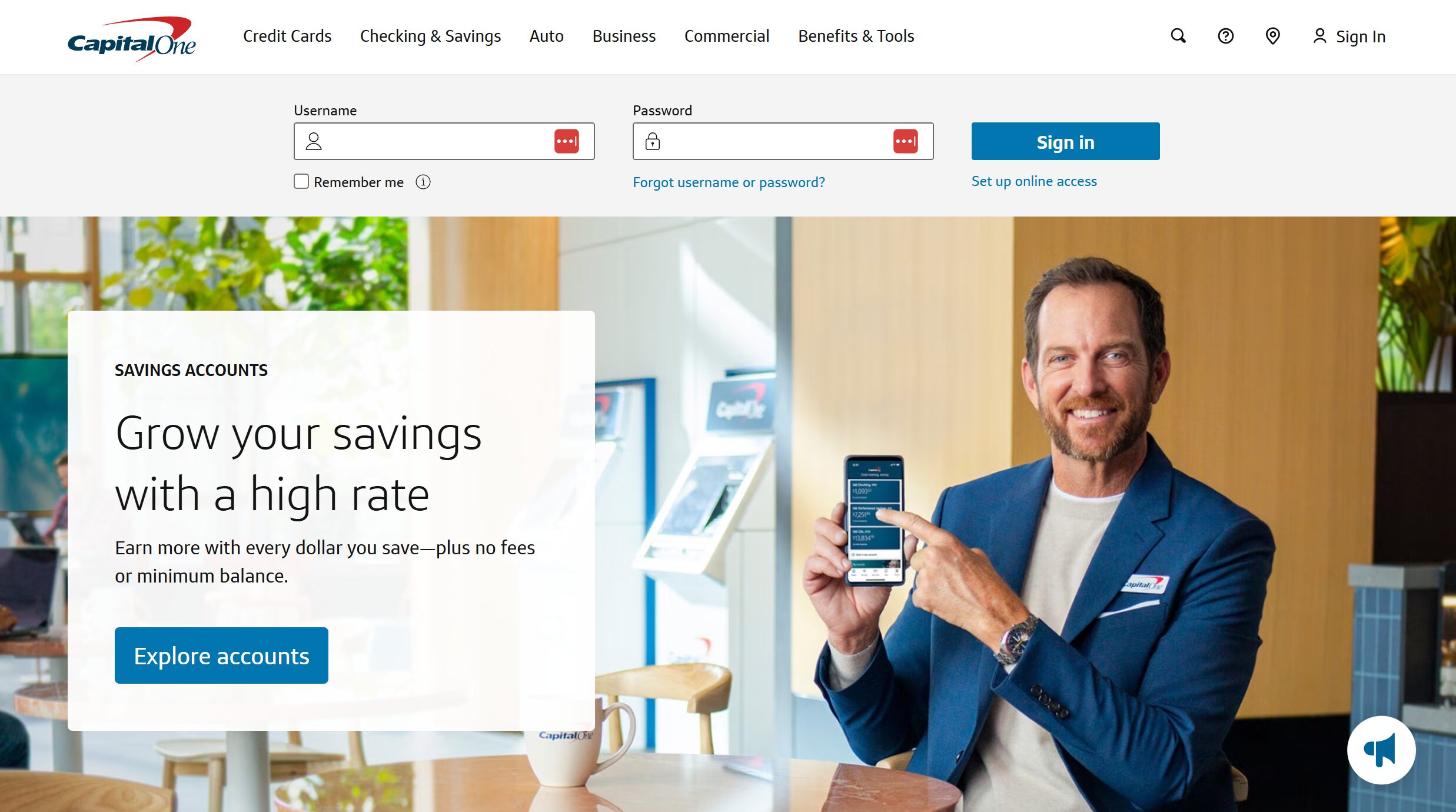 Capital One         