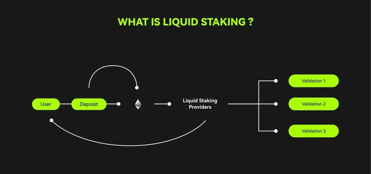 What Is Liquid Staking and How Does It Work? | CoinFN What Is Liquid Staking and How Does It Work? | CoinFN