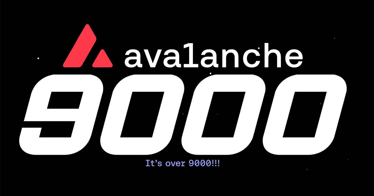 Expansion of the avalanche ecosystem